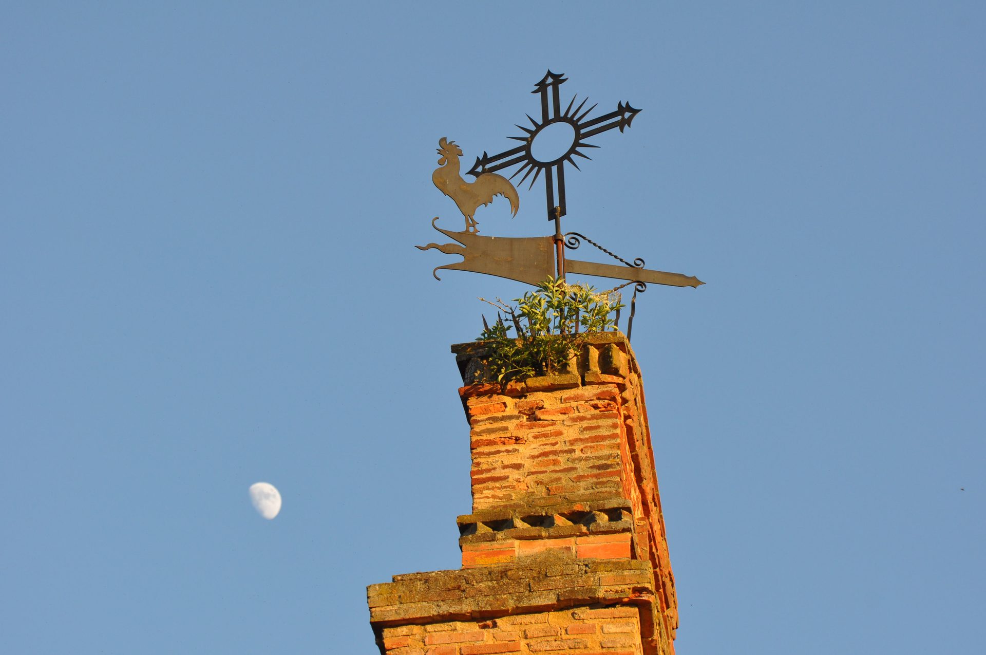 El gallo de la veleta